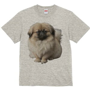 yLj[Y TVc fB[X t@  t  vg JWA 킢 lԗp h ̃fUC ʔ yLj[Y