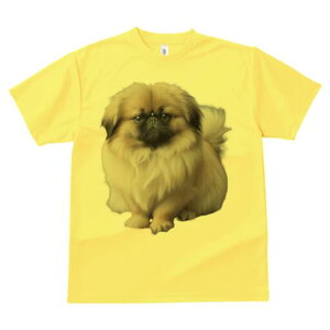 yLj[Y TVc fB[X t@  t  vg JWA 킢 lԗp h ̃fUC ʔ yLj[Y