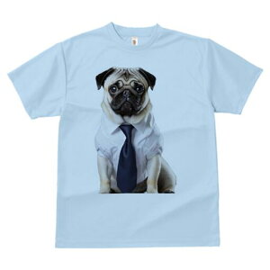 pO TVc fB[X t@  t  vg JWA 킢 lԗp h ̃fUC ʔ CVc pO lN^C