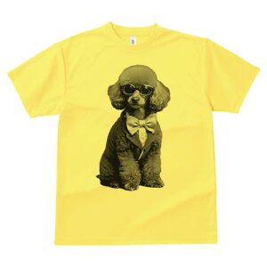 v[h TVc fB[X t@  t  vg JWA 킢 lԗp h ̃fUC ʔ lN^C v[h X[c Kl 