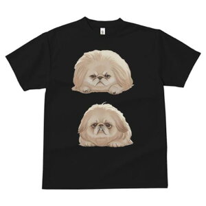 yLj[Y TVc fB[X t@  t  vg JWA 킢 lԗp h ̃fUC ʔ yLj[Y