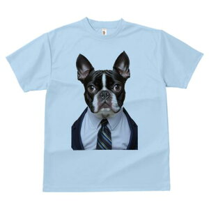 {XgeA TVc fB[X t@  t  vg JWA 킢 lԗp h ̃fUC ʔ X[c {XgeA lN^C Vc