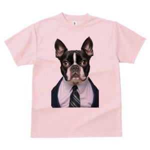 {XgeA TVc fB[X t@  t  vg JWA 킢 lԗp h ̃fUC ʔ X[c {XgeA lN^C Vc