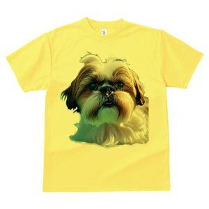 V[Y[ TVc fB[X t@  t  vg JWA 킢 lԗp h ̃fUC ʔ V[Y[