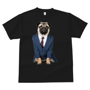 pO TVc fB[X t@  t  vg JWA 킢 lԗp h ̃fUC ʔ X[c pO lN^C Vc