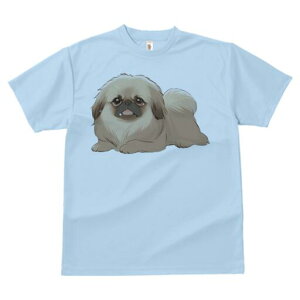 yLj[Y TVc fB[X t@  t  vg JWA 킢 lԗp h ̃fUC ʔ yLj[Y