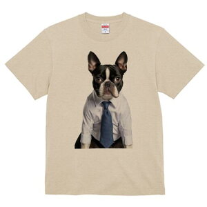 {XgeA TVc fB[X t@  t  vg JWA 킢 lԗp h ̃fUC ʔ Vc {XgeA lN^C