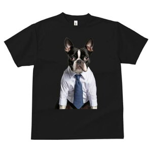 {XgeA TVc fB[X t@  t  vg JWA 킢 lԗp h ̃fUC ʔ Vc {XgeA lN^C