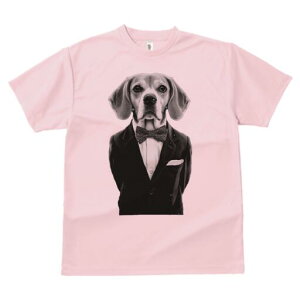 r[O TVc fB[X t@  t  vg JWA 킢 lԗp h ̃fUC ʔ ^LV[h r[O lN^C |Pbg`[t