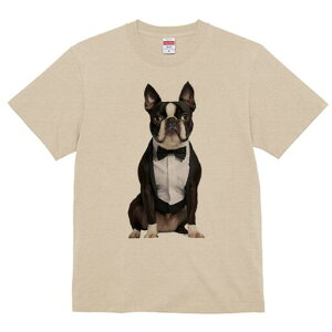 {XgeA TVc fB[X t@  t  vg JWA 킢 lԗp h ̃fUC ʔ lN^C {XgeA ^LV[h Vc