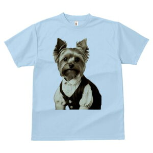 [NV[eA TVc fB[X t@  t  vg JWA 킢 lԗp h ̃fUC ʔ am [NV[eA  xXg Vc