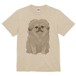 yLj[Y TVc fB[X t@  t  vg JWA 킢 lԗp h ̃fUC ʔ yLj[Y