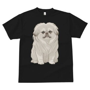 yLj[Y TVc fB[X t@  t  vg JWA 킢 lԗp h ̃fUC ʔ yLj[Y