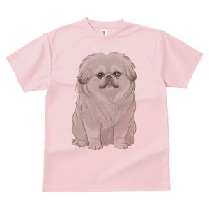 yLj[Y TVc fB[X t@  t  vg JWA 킢 lԗp h ̃fUC ʔ yLj[Y