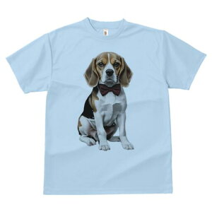 r[O TVc fB[X t@  t  vg JWA 킢 lԗp h ̃fUC ʔ lN^C r[O