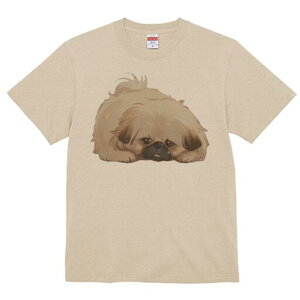 yLj[Y TVc fB[X t@  t  vg JWA 킢 lԗp h ̃fUC ʔ yLj[Y