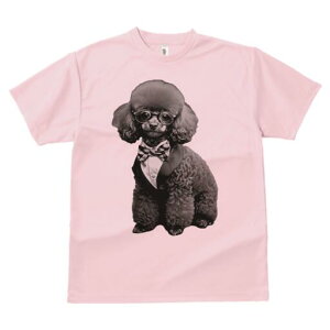 gCv[h TVc fB[X t@  t  vg JWA 킢 lԗp h ̃fUC ʔ lN^C gCv[h ^LV[h Kl tH[}