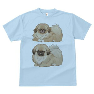 yLj[Y TVc fB[X t@  t  vg JWA 킢 lԗp h ̃fUC ʔ yLj[Y