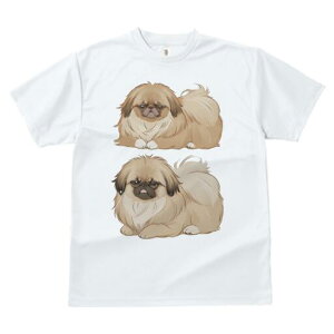 yLj[Y TVc fB[X t@  t  vg JWA 킢 lԗp h ̃fUC ʔ yLj[Y