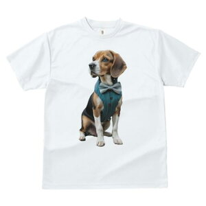 r[O TVc fB[X t@  t  vg JWA 킢 lԗp h ̃fUC ʔ lN^C r[O xXg