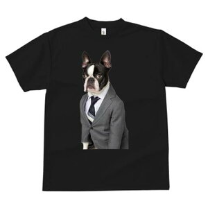 {XgeA TVc fB[X t@  t  vg JWA 킢 lԗp h ̃fUC ʔ X[c {XgeA lN^C rWlX