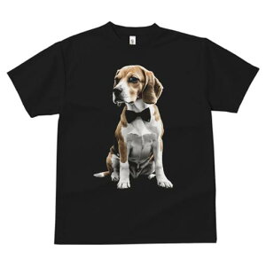 r[O TVc fB[X t@  t  vg JWA 킢 lԗp h ̃fUC ʔ lN^C r[O