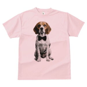 r[O TVc fB[X t@  t  vg JWA 킢 lԗp h ̃fUC ʔ lN^C r[O