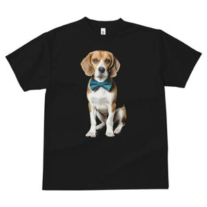 r[O TVc fB[X t@  t  vg JWA 킢 lԗp h ̃fUC ʔ lN^C r[O