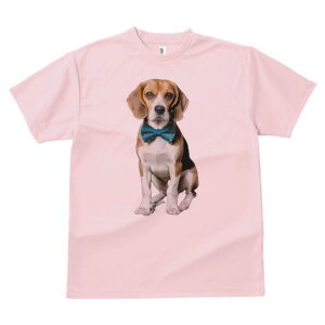 r[O TVc fB[X t@  t  vg JWA 킢 lԗp h ̃fUC ʔ lN^C r[O