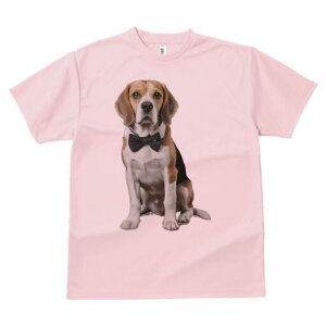 r[O TVc fB[X t@  t  vg JWA 킢 lԗp h ̃fUC ʔ lN^C r[O