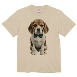 r[O TVc fB[X t@  t  vg JWA 킢 lԗp h ̃fUC ʔ lN^C r[O