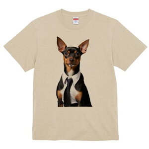 ~j`AsV[ TVc fB[X t@  t  vg JWA 킢 lԗp h ̃fUC ʔ CVc ~j`AsV[ lN^C