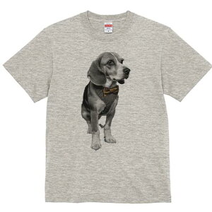 r[O TVc fB[X t@  t  vg JWA 킢 lԗp h ̃fUC ʔ lN^C r[O