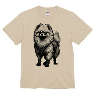 |jA TVc fB[X t@  t  vg JWA 킢 lԗp h ̃fUC ʔ n[lX |jA u[c