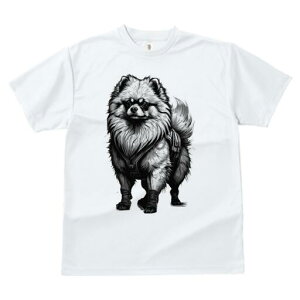 |jA TVc fB[X t@  t  vg JWA 킢 lԗp h ̃fUC ʔ n[lX |jA u[c