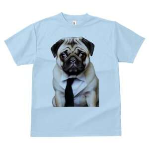 pO TVc fB[X t@  t  vg JWA 킢 lԗp h ̃fUC ʔ lN^C pO CVc