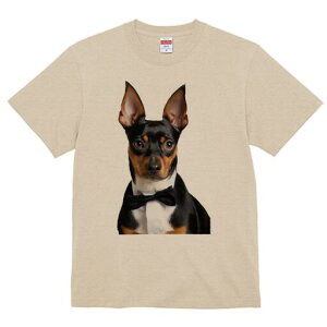 ~j`AsV[ TVc fB[X t@  t  vg JWA 킢 lԗp h ̃fUC ʔ lN^C ~j`AsV[ Vc