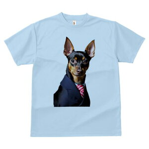 ~j`AsV[ TVc fB[X t@  t  vg JWA 킢 lԗp h ̃fUC ʔ X[c ~j`AsV[ lN^C