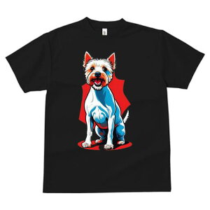 EGXgnChzCgeA TVc fB[X t@  t  vg JWA 킢 lԗp h ̃fUC ʔ  EGXgnChzCge