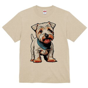 WbNbZeA TVc fB[X t@  t  vg JWA 킢 lԗp h ̃fUC ʔ  WbNbZeA ybg o_i 