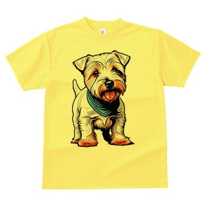 WbNbZeA TVc fB[X t@  t  vg JWA 킢 lԗp h ̃fUC ʔ  WbNbZeA ybg o_i 