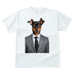 ~j`AsV[ TVc fB[X t@  t  vg JWA 킢 lԗp h ̃fUC ʔ X[c ~j`AsV[ lN^C CV