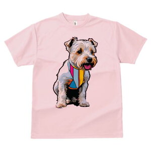 m[tH[NeA TVc fB[X t@  t  vg JWA 킢 lԗp h ̃fUC ʔ TVc m[tH[NeA