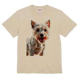 EGXgnChzCgeA TVc fB[X t@  t  vg JWA 킢 lԗp h ̃fUC ʔ EGXgnChzCgeA