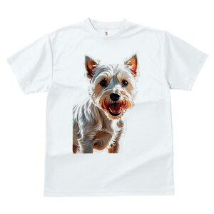 EGXgnChzCgeA TVc fB[X t@  t  vg JWA 킢 lԗp h ̃fUC ʔ EGXgnChzCgeA