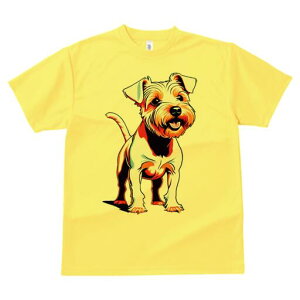 m[tH[NeA TVc fB[X t@  t  vg JWA 킢 lԗp h ̃fUC ʔ  m[tH[NeA ybg  킢