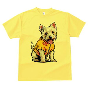 EGXgnChzCgeA TVc fB[X t@  t  vg JWA 킢 lԗp h ̃fUC ʔ  EGXgnChzCge