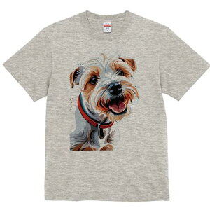 WbNbZeA TVc fB[X t@  t  vg JWA 킢 lԗp h ̃fUC ʔ  WbNbZeA