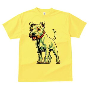 m[tH[NeA TVc fB[X t@  t  vg JWA 킢 lԗp h ̃fUC ʔ  m[tH[NeA ybg  킢