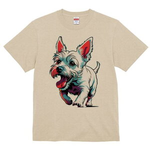 EGXgnChzCgeA TVc fB[X t@  t  vg JWA 킢 lԗp h ̃fUC ʔ  EGXgnChzCge